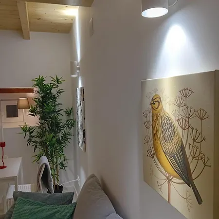 Vivienda A Estrenar Con Aparcamiento Playa Caolin * Lago (Lugo)